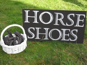 DIY Horseshoes